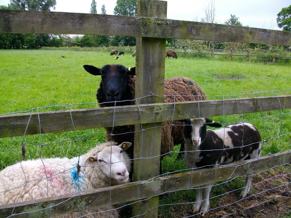 The Old Cowstall Somerton  Kültér fotó